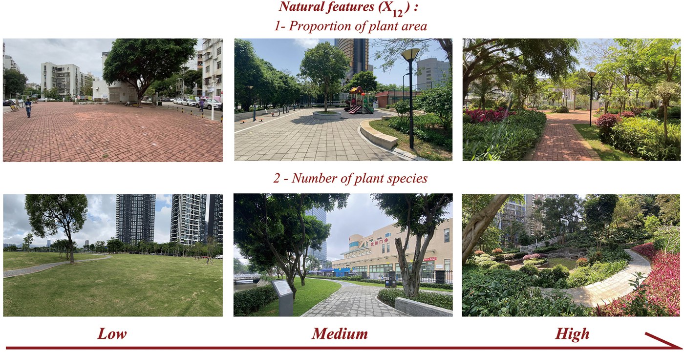 Representative figure for neighborhood park environmental condition research